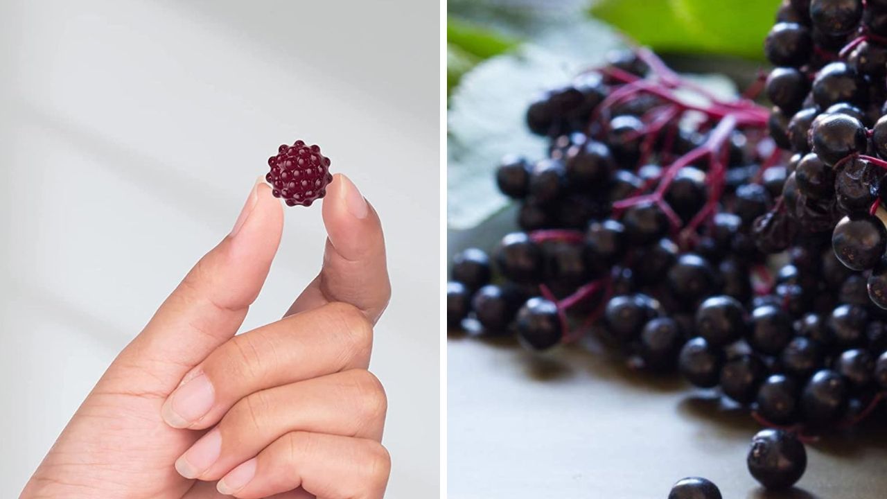 Delicious Elderberry Gummies, Try This Sweet Way to Support Immunity and Keep Yourself Healthy