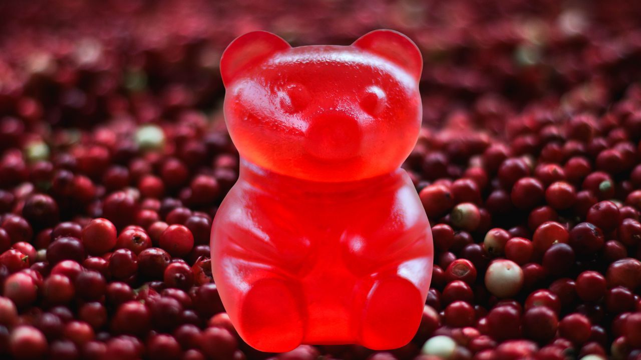 Unveiling the Power-Packed Punch of Cranberry Gummies