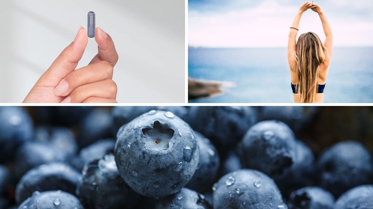 Blueberry Extract Exposed: Here's Why It's Worth Every Penny
