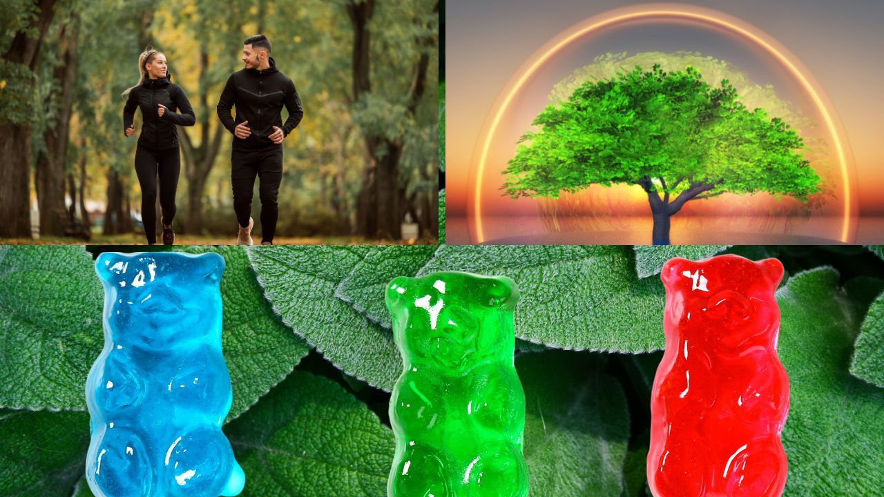 Why Chlorophyll Gummies Are Dominating the Health Scene - A Comprehensive Review