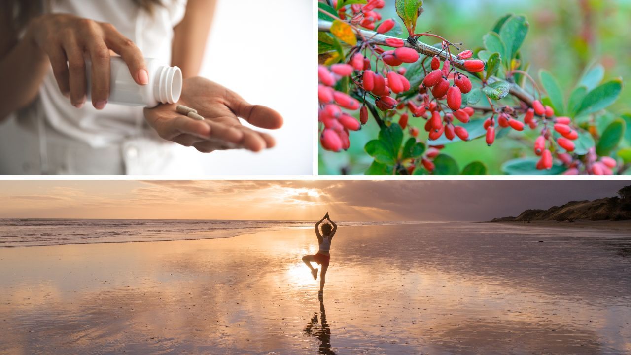 Best Berberine Supplement: Reclaim Your Health Now