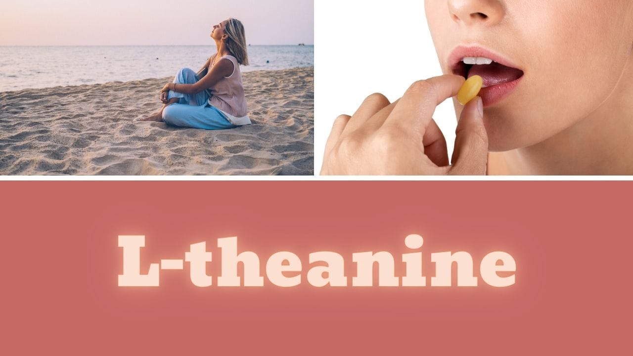 Best L-Theanine Supplement: A Complete Review