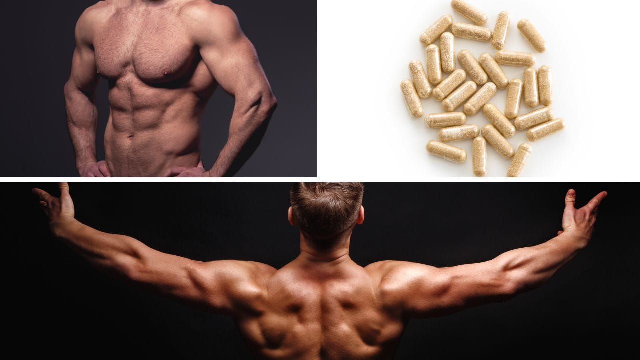 Best Turkesterone Supplement: An In-Depth Review