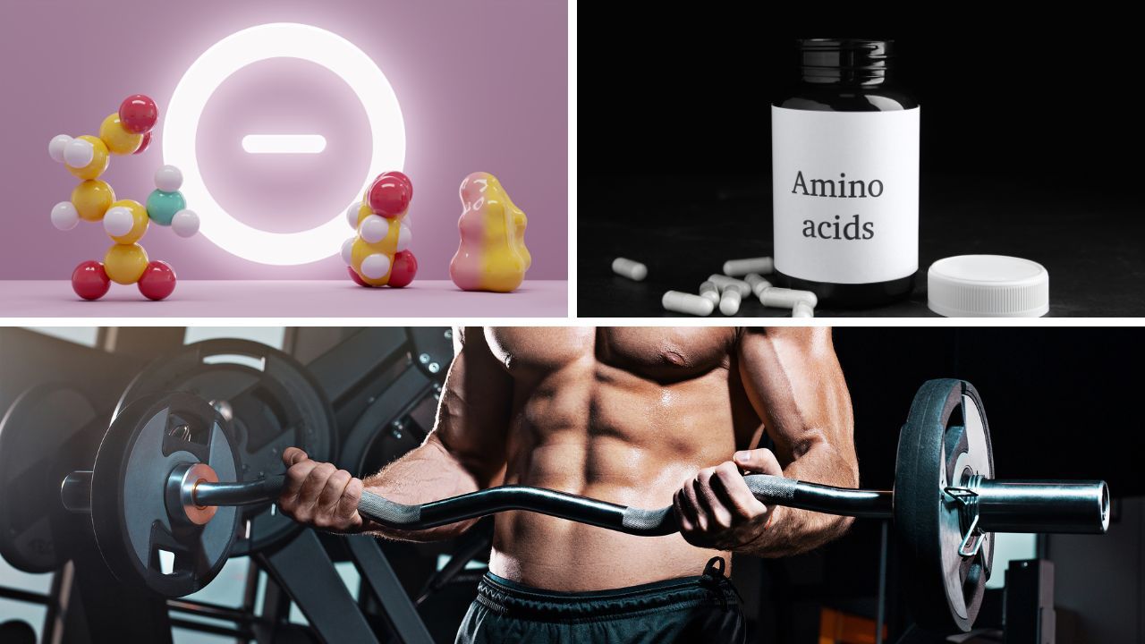 Best Amino Acid Supplement: The Ultimate Guide to the Best Supplements