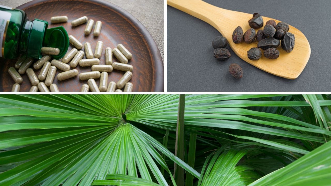 Best Saw Palmetto Supplement for Prostate and Hair Health