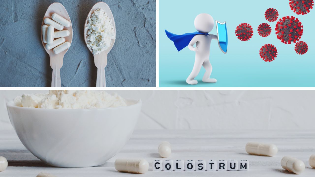 Best Colostrum Supplement You Can't Ignore for Optimum Health