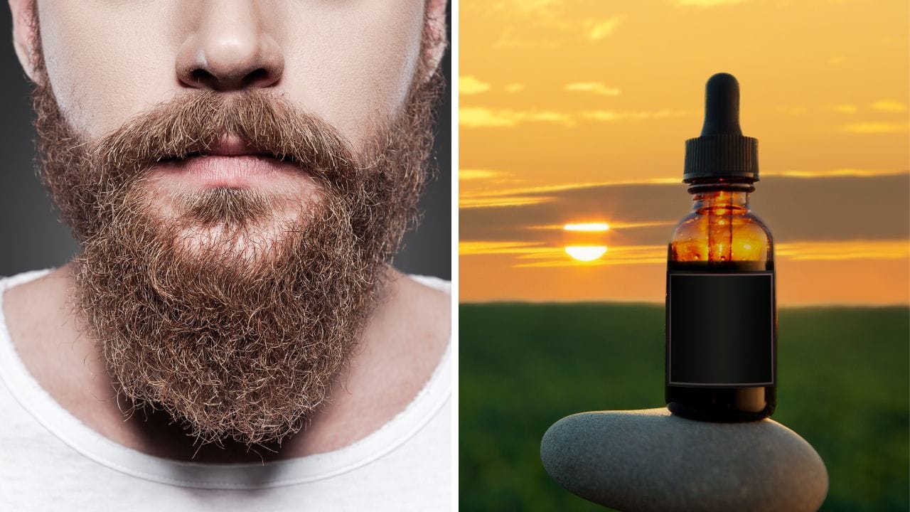 Beard Oil: The Ultimate Review Guide to the Top Beard Growth Oils