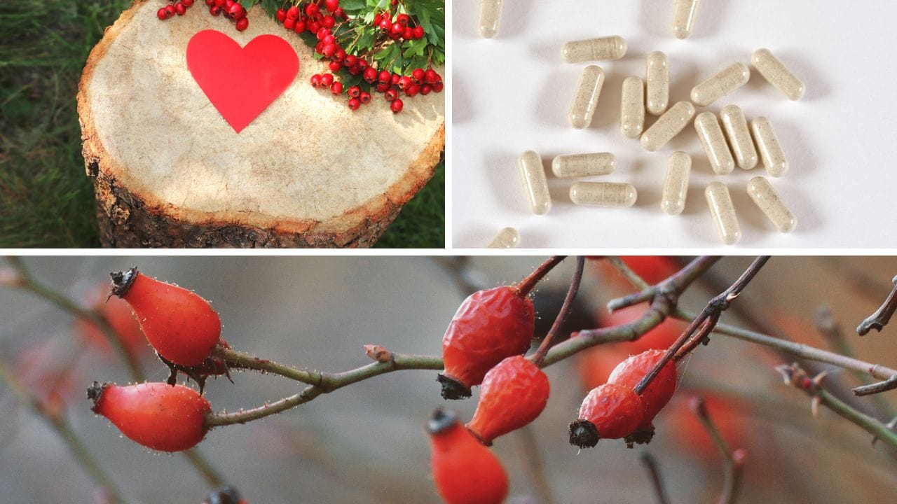 Best Hawthorn Berry Supplement: Unveiling the Top for Heart Health Support