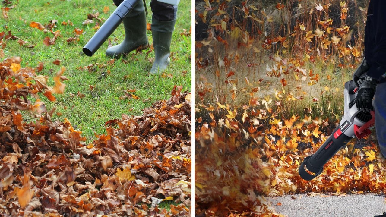 Best Cordless Leaf Blower: These Top Models Offer Superior Performance and Efficiency