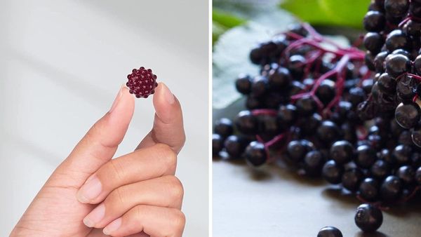 Delicious Elderberry Gummies, Try This Sweet Way to Support Immunity and Keep Yourself Healthy