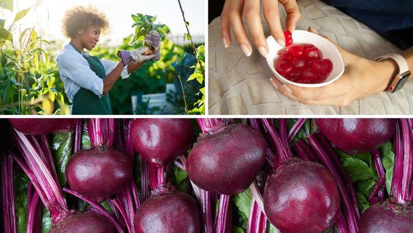 Beet Gummies: The Mouthwatering Treat That's Changing Lives- Find Out How