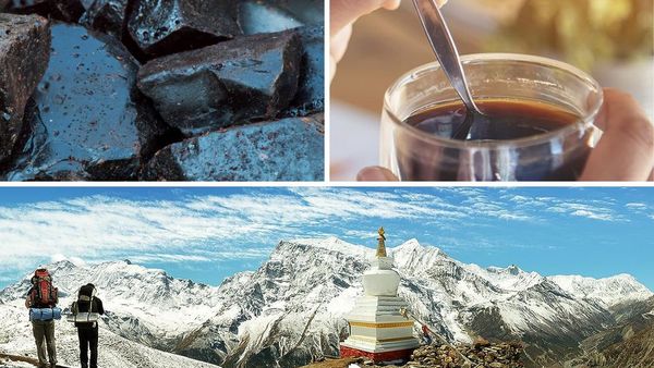 Why Shilajit Might Be The Best Supplement You're Not Taking Yet!