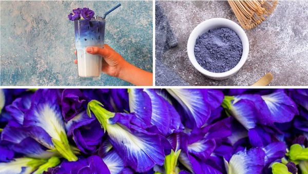 Butterfly Pea Powder: The Ancient Superfood That's Making a Modern Comeback