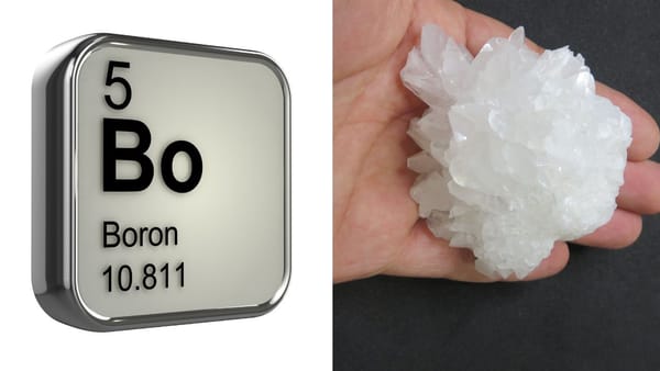 Best Boron Supplement for Optimal Health