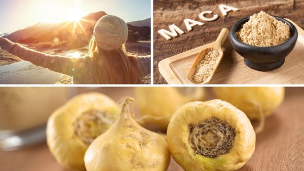 Best Maca Root Supplement: An In-Depth Review