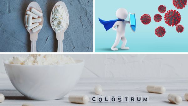 Best Colostrum Supplement You Can't Ignore for Optimum Health