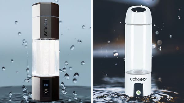 What is the Difference Between Echo Go and Echo Go+?