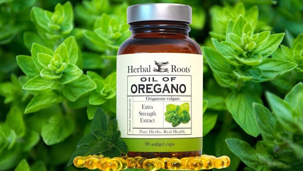 Oil of Oregano Capsules: A Review Unveiling the Power of Herbal Roots Oil of Oregano Supplement