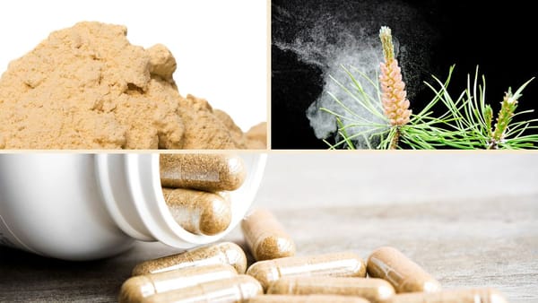 Pine Pollen Supplement: A Comprehensive Review of Top Supplements