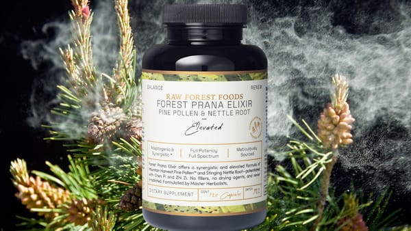 Raw Forest Foods Forest Prana Elixir Supplement: A Review Unveiling the Power of Nature