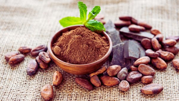 Raw Cacao Powder: The Ultimate Guide to the Best on the Market