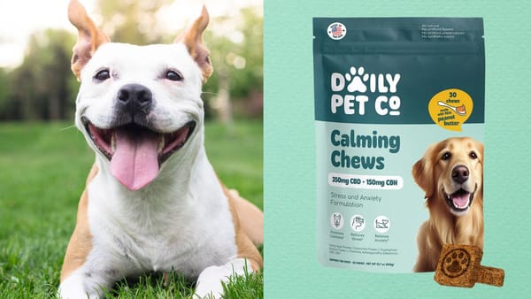 Daily Pet Co. CBD and CBN Calming Chews For Dogs