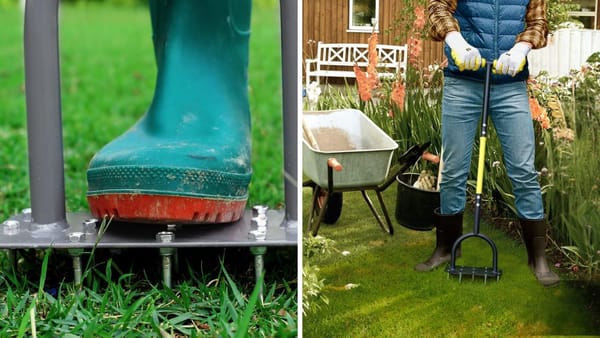 Lawn Aerator: You Won't Believe What These Lawn Aerators Can Do for Your Grass!