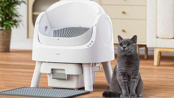 PetPivot AutoScooper Cat Litter Box: This Litter Box Does All the Dirty Work for You!